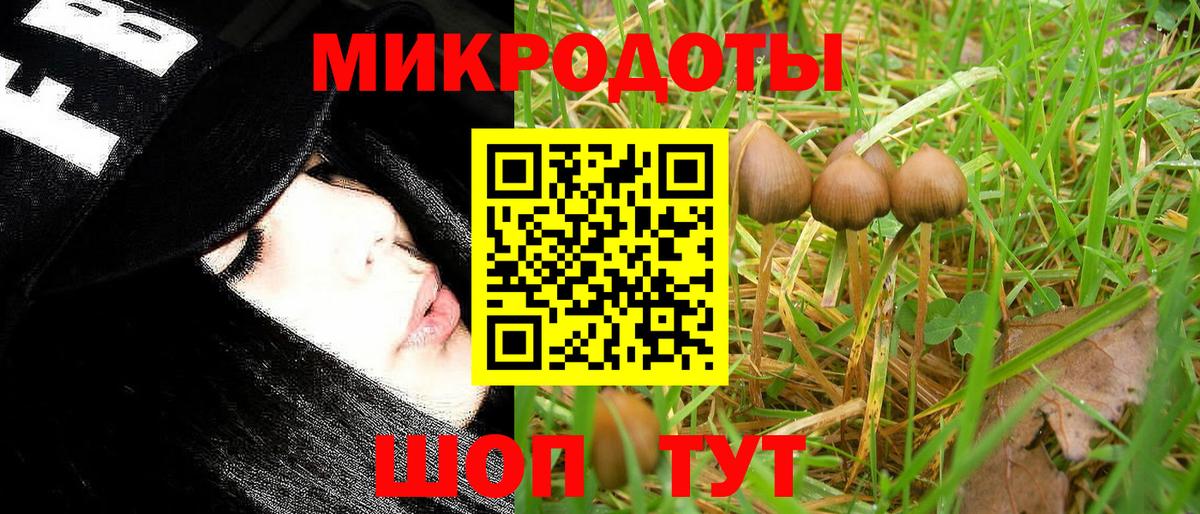 Галлюциногенные грибы MAGIC MUSHROOMS  Вход с VPN  даркнет сайт  Батайск 